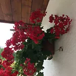 Appartement Ca' Dello Scoiattolo *