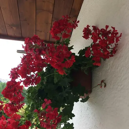 Apartmán Ca' Dello Scoiattolo *
