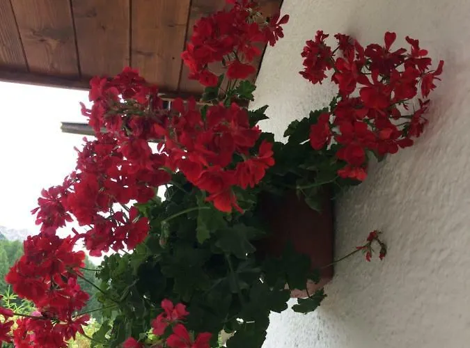 Apartamento Ca' Dello Scoiattolo *